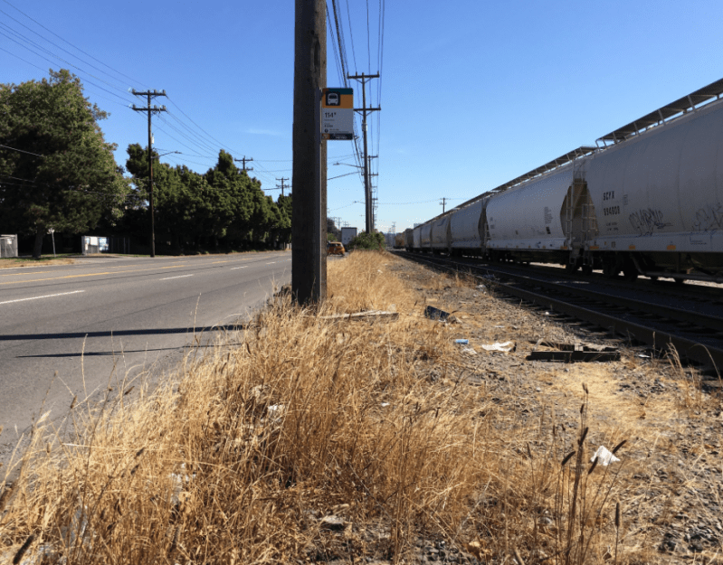 Last year's winner was this beauty in Seattle.