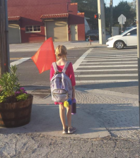 Bay to Bay Boulevard in Tampa. Photo: Submitted