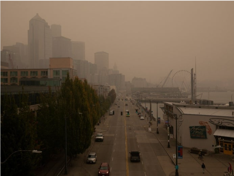 Image: Lindsey Wasson via Creative Commons