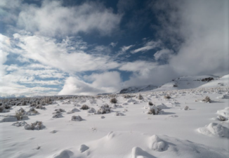 This is the kind of landscape that lithium mining for electric car batteries might destroy. Image courtesy Protect Thacker Pass.
