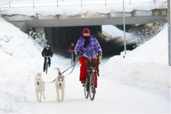 A cyclist is calmly cycling down a well-maintained path with her two dogs. (source: Pekka Tahkola)