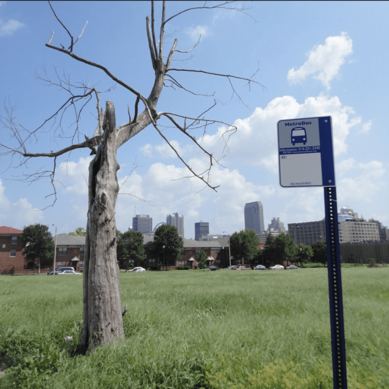 Image: Paul Sableman, CC