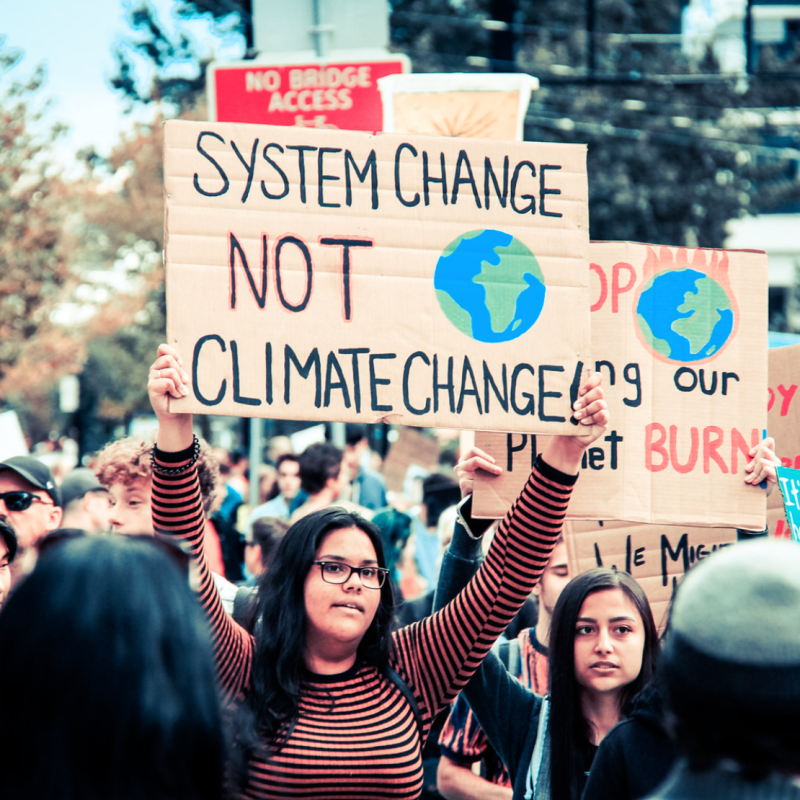 Image: Chris Yakimov, CC