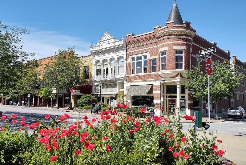 Poppies on a downtown square in Fayetteville. Photo: Brandonrush, CC0, via Wikimedia Commons