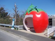 A tomato-shaped bus stop in Nagasaki, Japan. Image:  	STA3816, CC