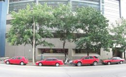 Photo: Hobvias Sudoneighm, CC