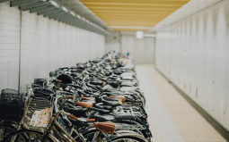 Photo: Stocksnap via Pixabay, CC