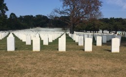 Too many to bear. Photo: Gersh Kuntzman