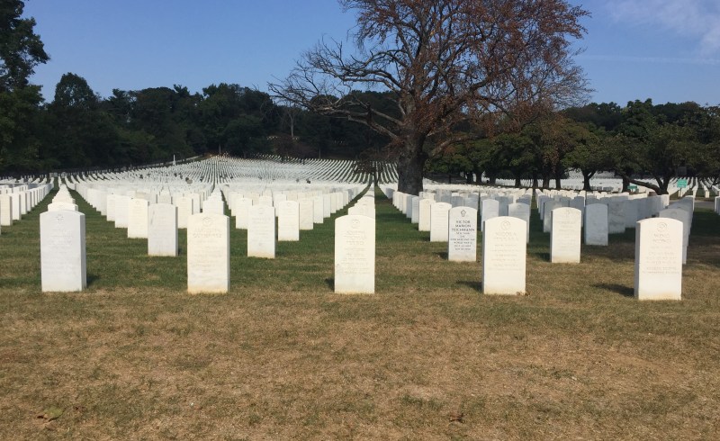 Too many to bear. Photo: Gersh Kuntzman