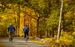 Photo: Petr Kratochvil, CC