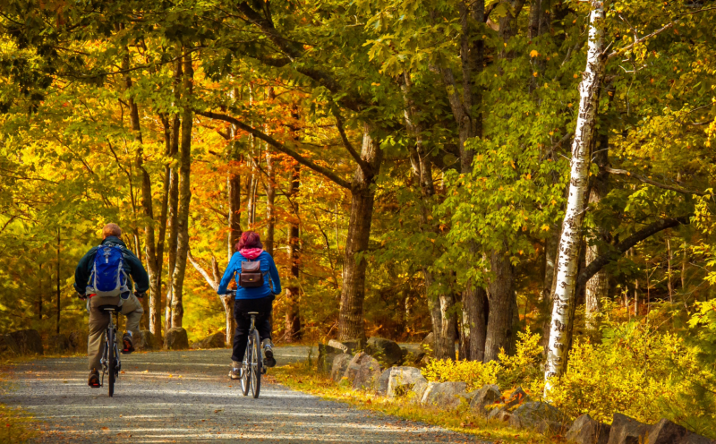 Photo: Petr Kratochvil, CC